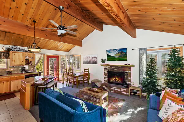 Living Room and Fireplace