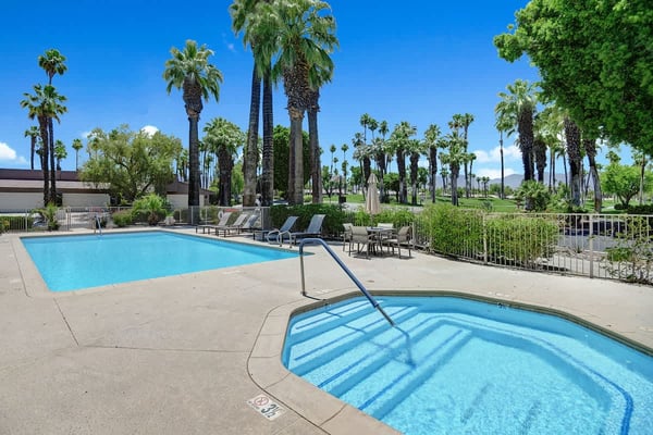 VS910 - Palm Valley Desert Chic