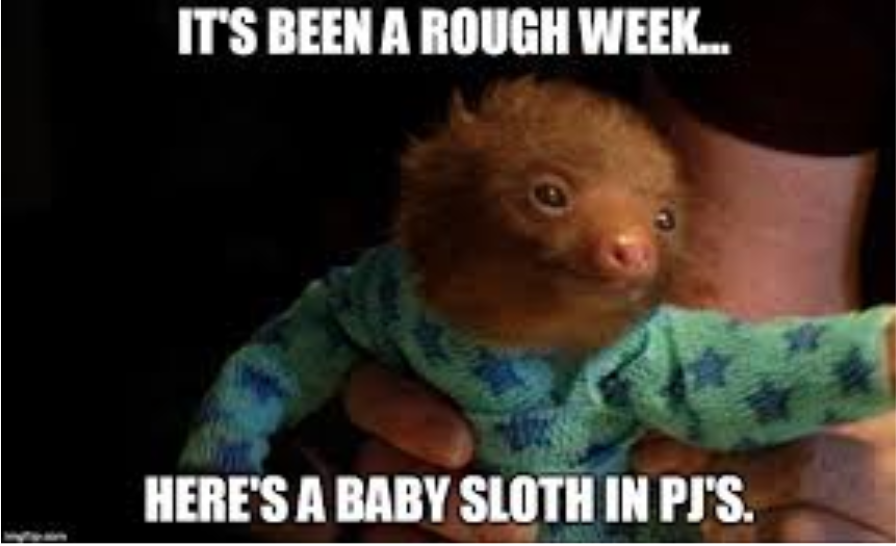 Baby Sloth.PNG