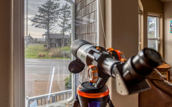 Window Views of the home