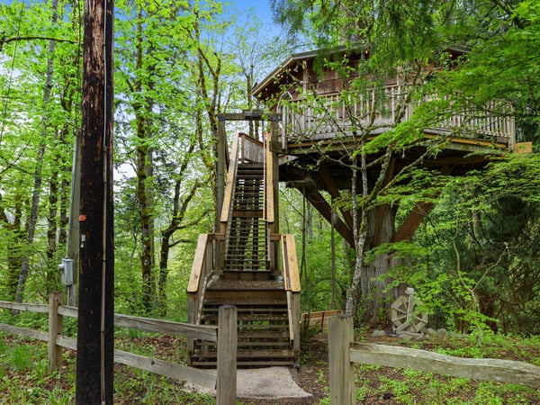 Cedar Springs Treehouse Stairway Entrance
