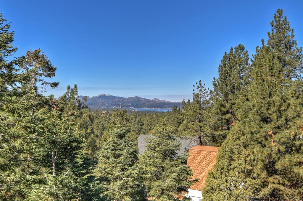 Gorgeous Views of the Lake