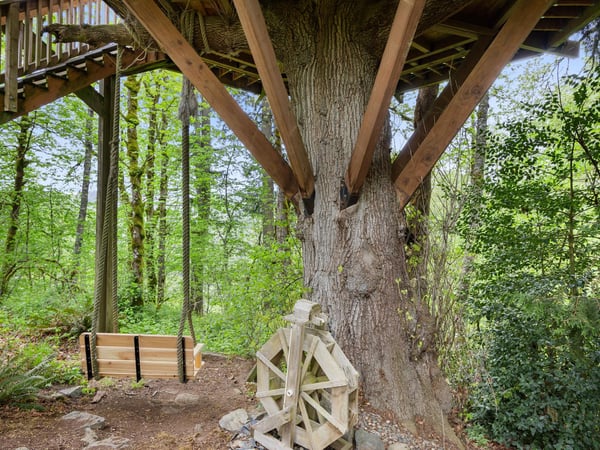 Cedar Springs Treehouse Swing